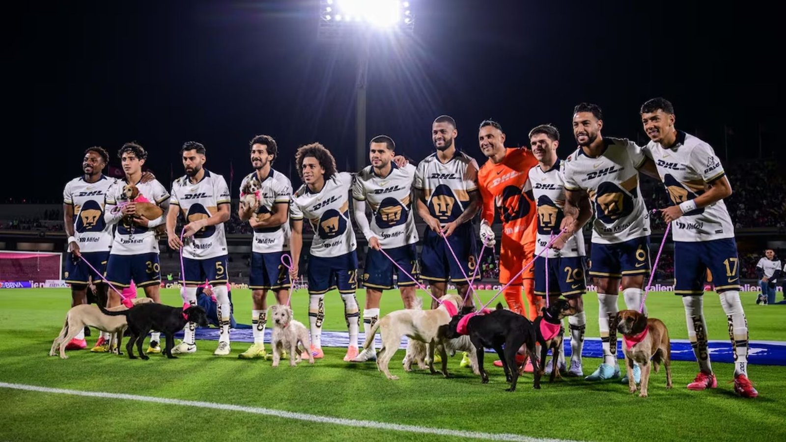 Plecas e informacion - 2025-10-23T133940.730