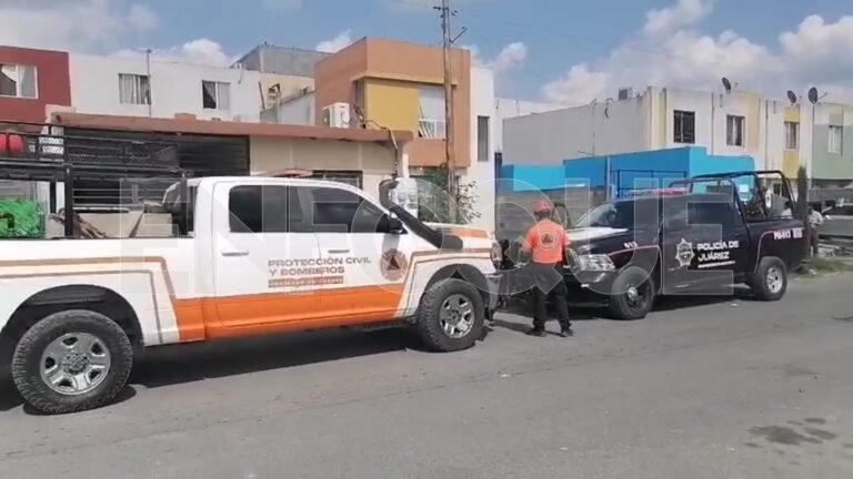 Rescatan a león mantenido como mascota en una vivienda de Juárez,NL