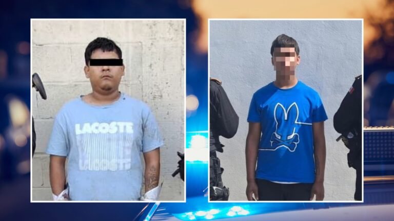 Plecas e informacion - 2025-10-23T174328.761