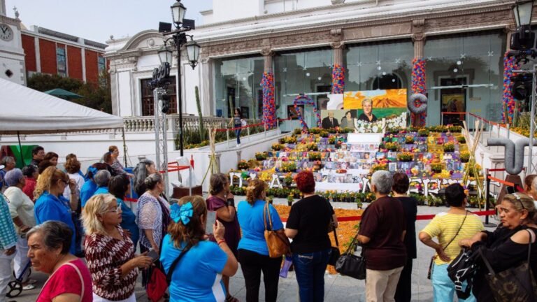 Plecas e informacion - 2025-10-24T141353.805