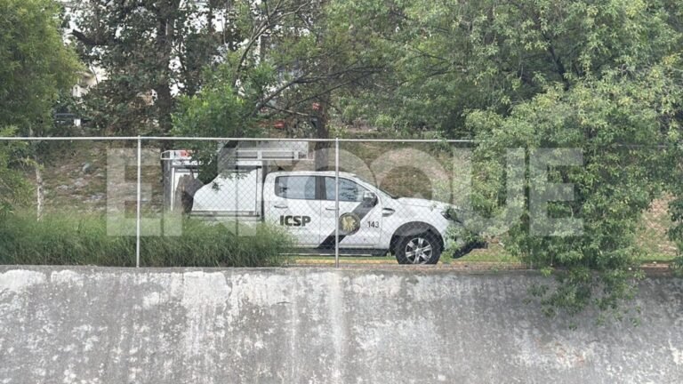 Plecas e informacion - 2025-10-24T144952.949