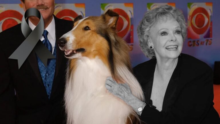 Plecas e informacion - 2025-10-25T173558.550