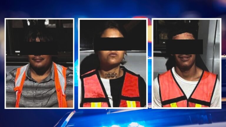 Plecas e informacion - 2025-10-25T182146.945