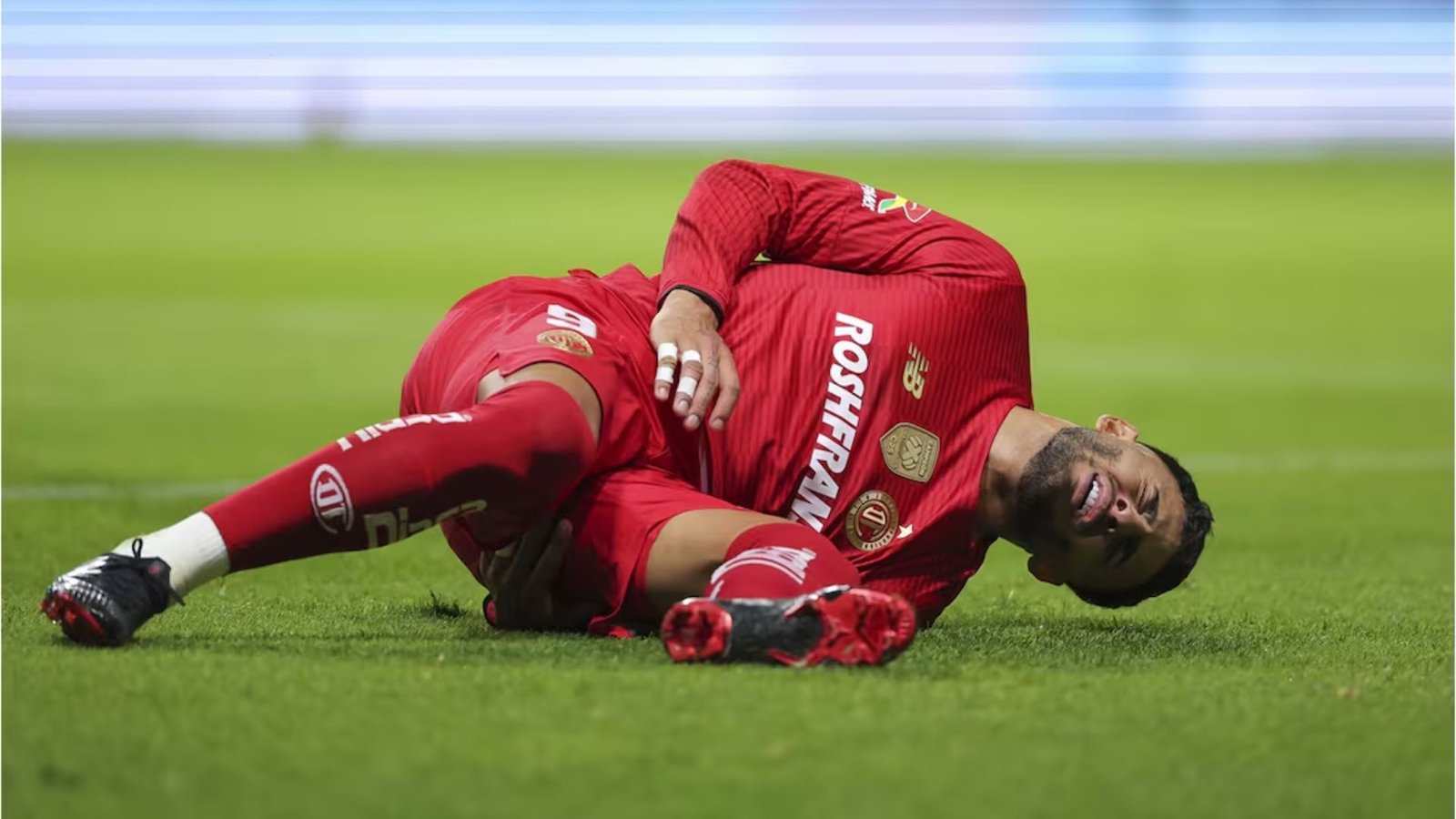 Plecas e informacion - 2025-10-27T123136.804