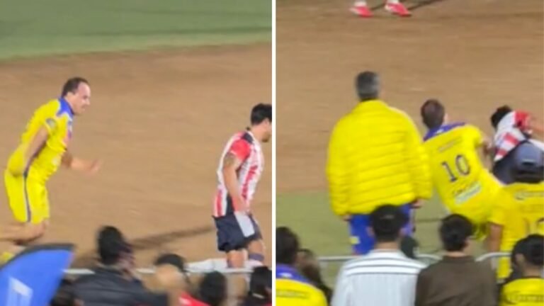 Plecas e informacion - 2025-10-27T173237.673