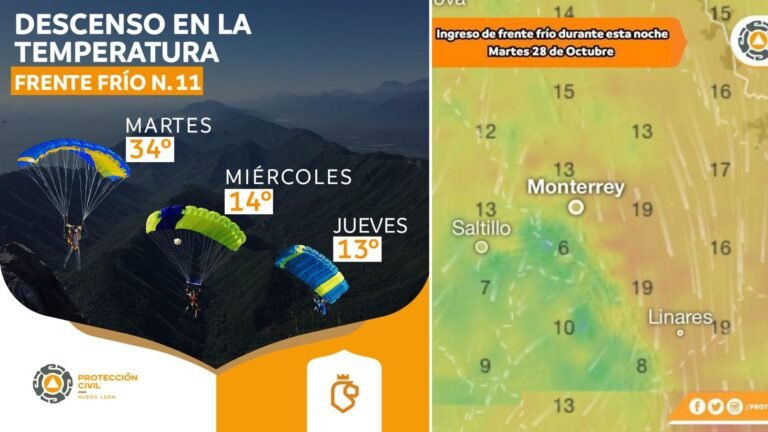 Plecas e informacion - 2025-10-28T133455.679