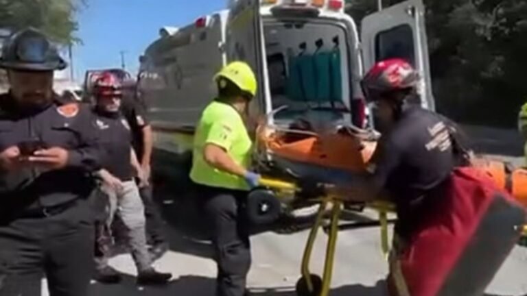 Plecas e informacion - 2025-10-28T155907.809