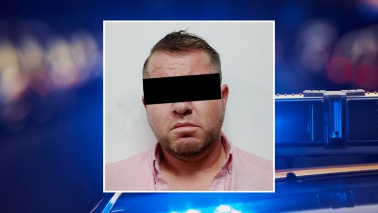 Plecas e informacion - 2025-10-29T163812.084