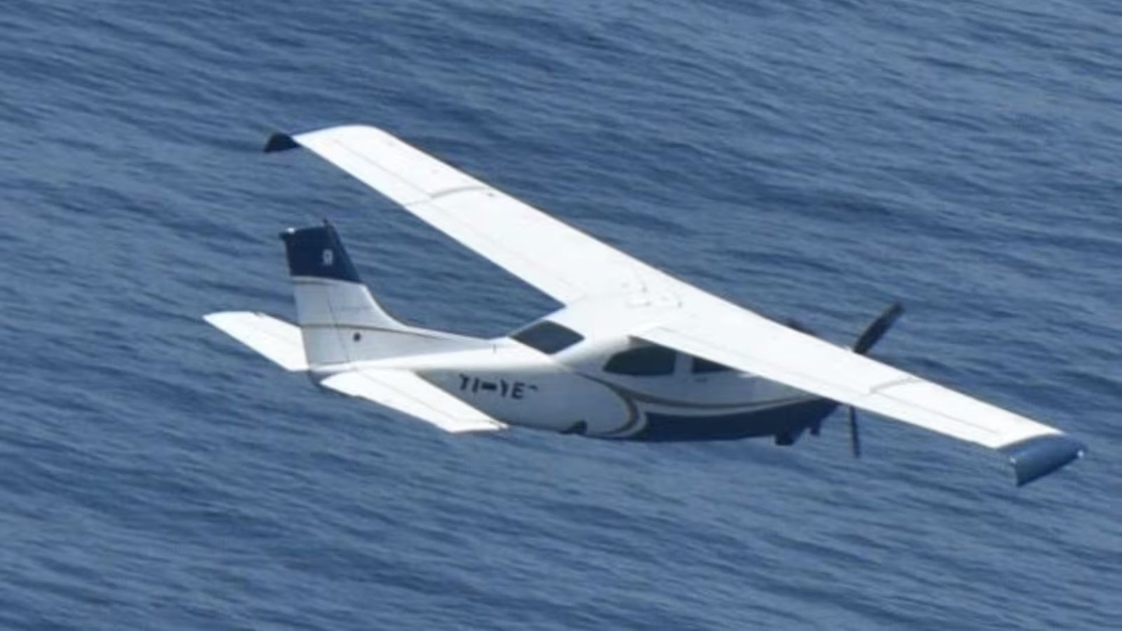 Plecas e informacion - 2025-10-29T173001.703