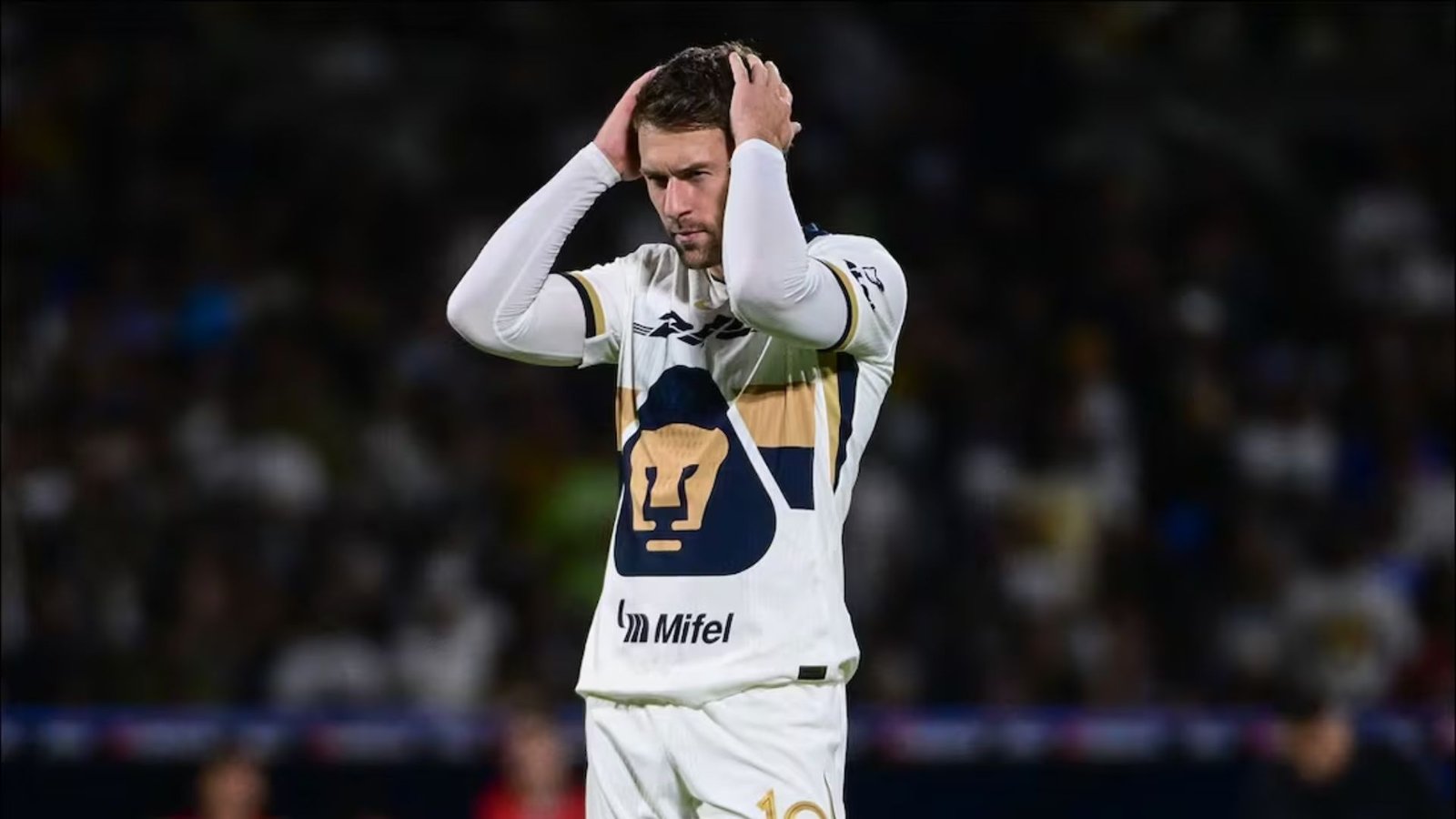 Plecas e informacion - 2025-10-31T163232.647