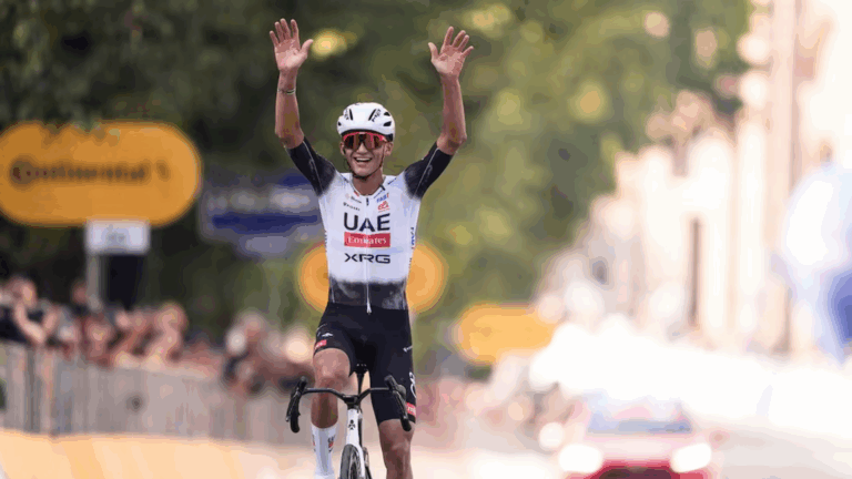 Plecas e informacion (3)