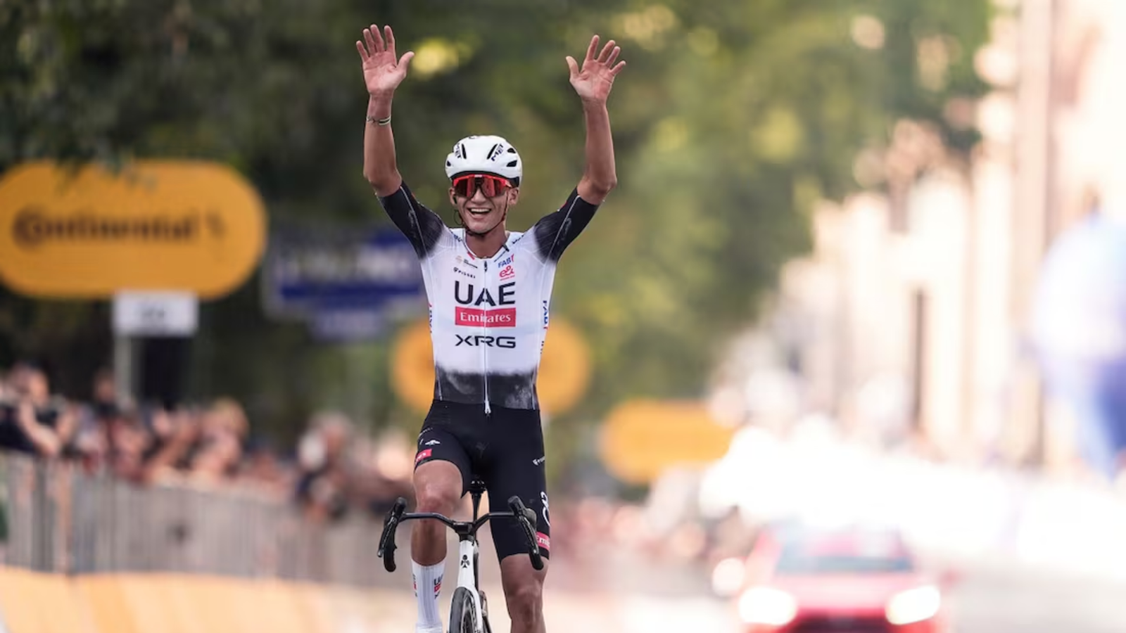 Plecas e informacion (3)