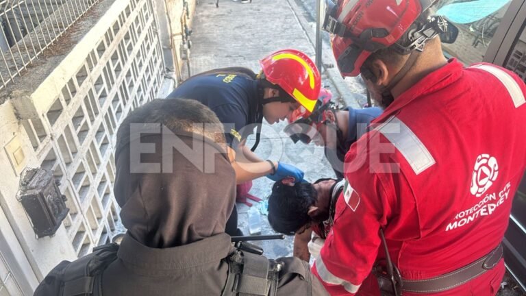 Plecas e informacion (32)