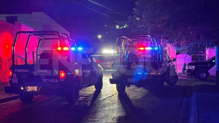 Plecas e informacion (36)