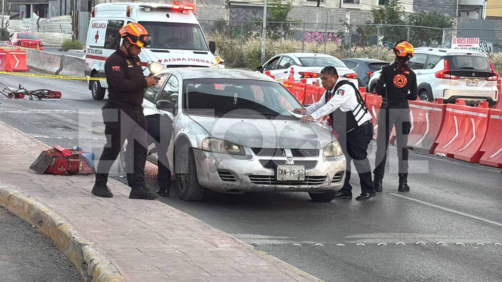 Plecas e informacion (39)