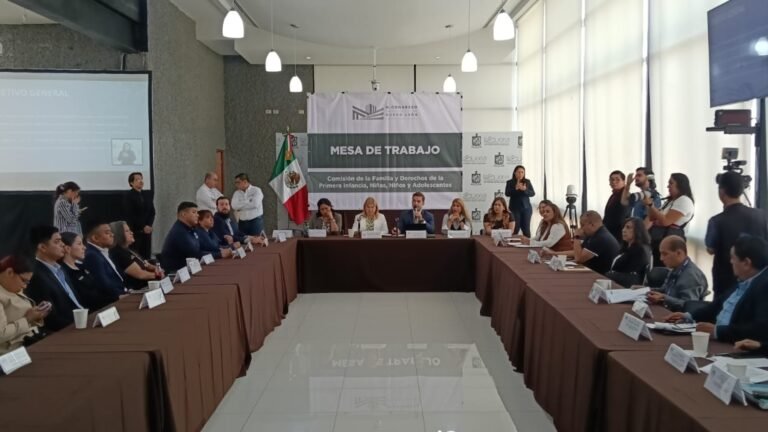 Analizan mesa de trabajo sobre Ley de Ciberprotección para Niños