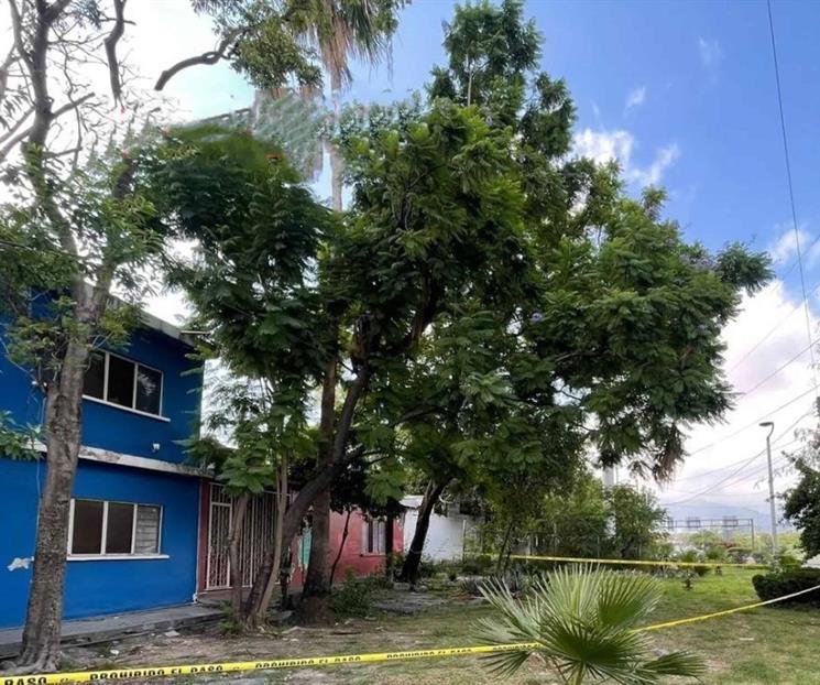 matricida1-715d703d-focus-min0.16-min0.36-745-622