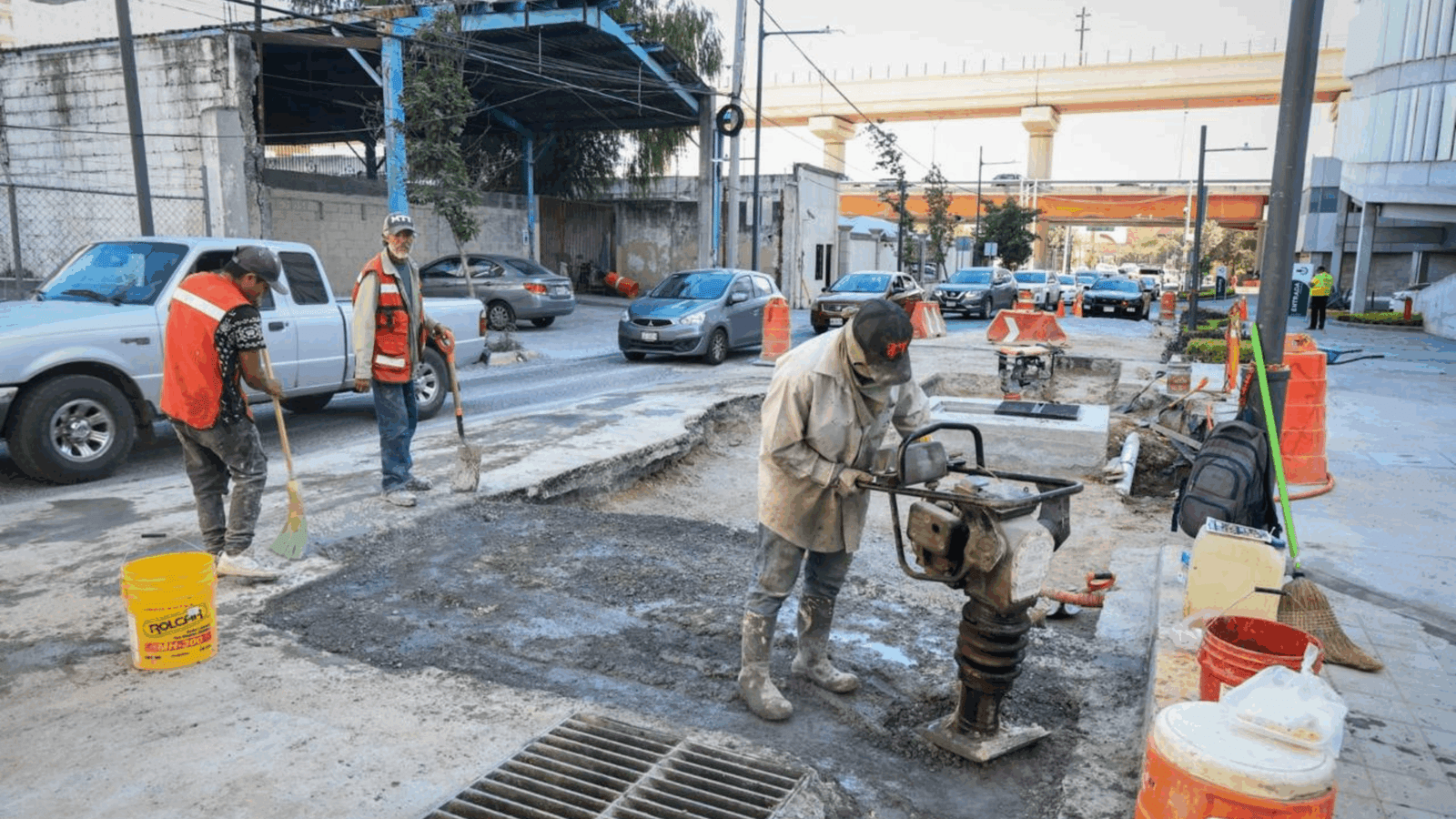 Plecas e informacion