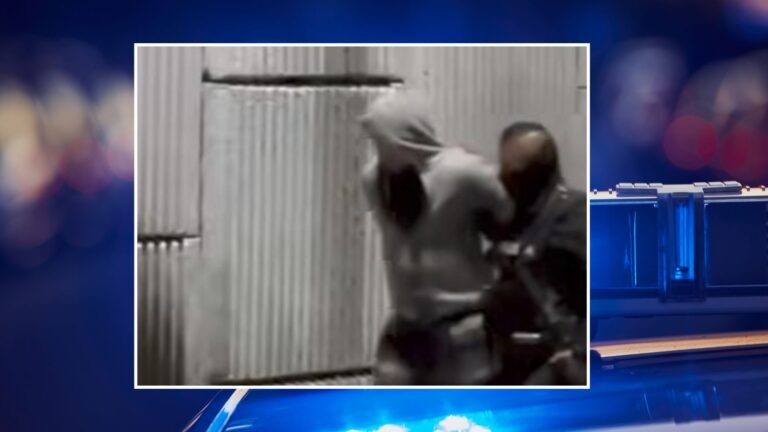 Plecas e informacion