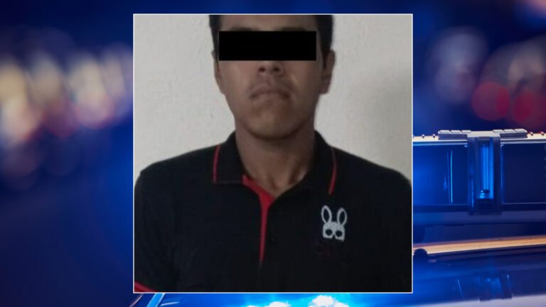 Plecas e informacion (1)