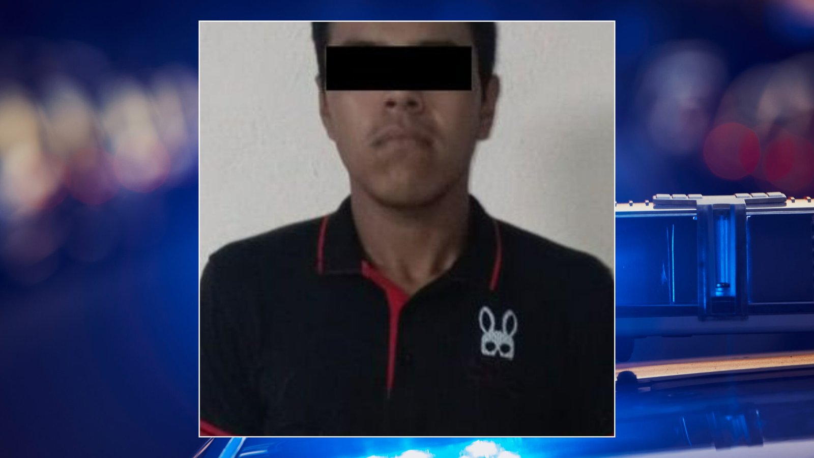 Plecas e informacion (1)