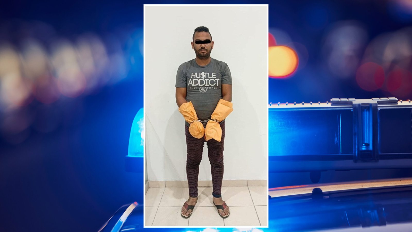 Plecas e informacion (10)