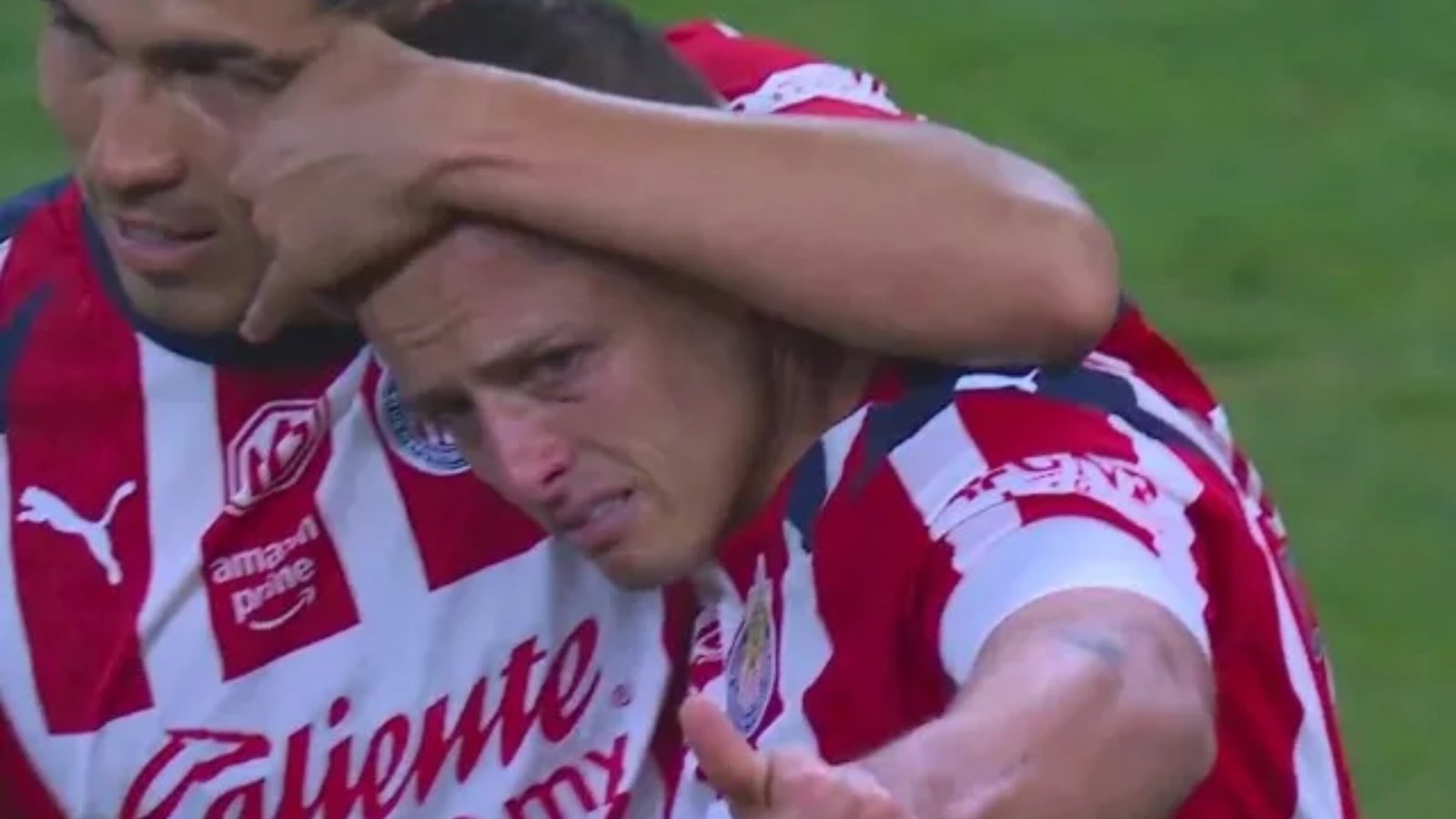 Plecas e informacion (11)