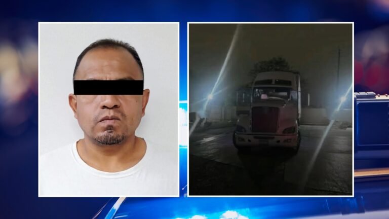 Plecas e informacion (11)