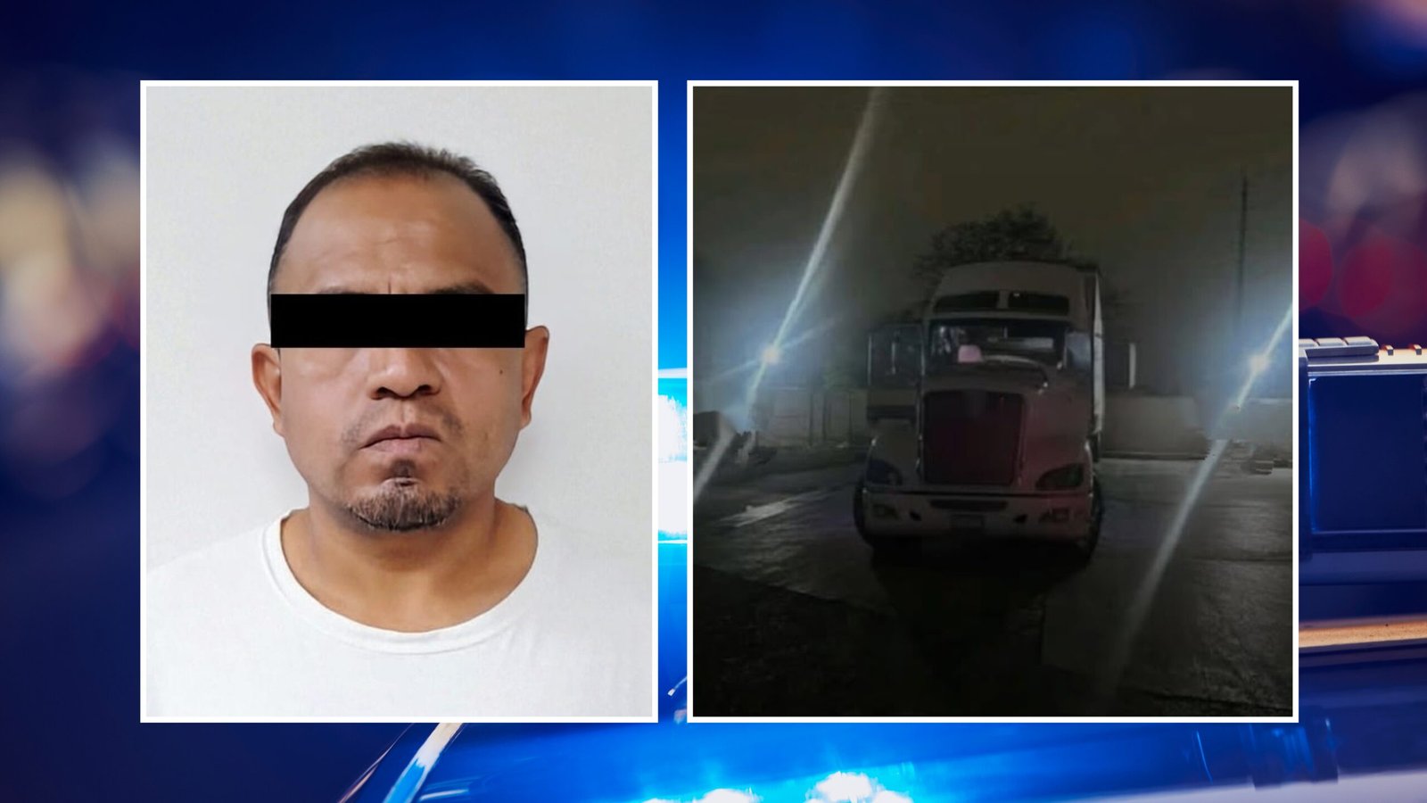 Plecas e informacion (11)