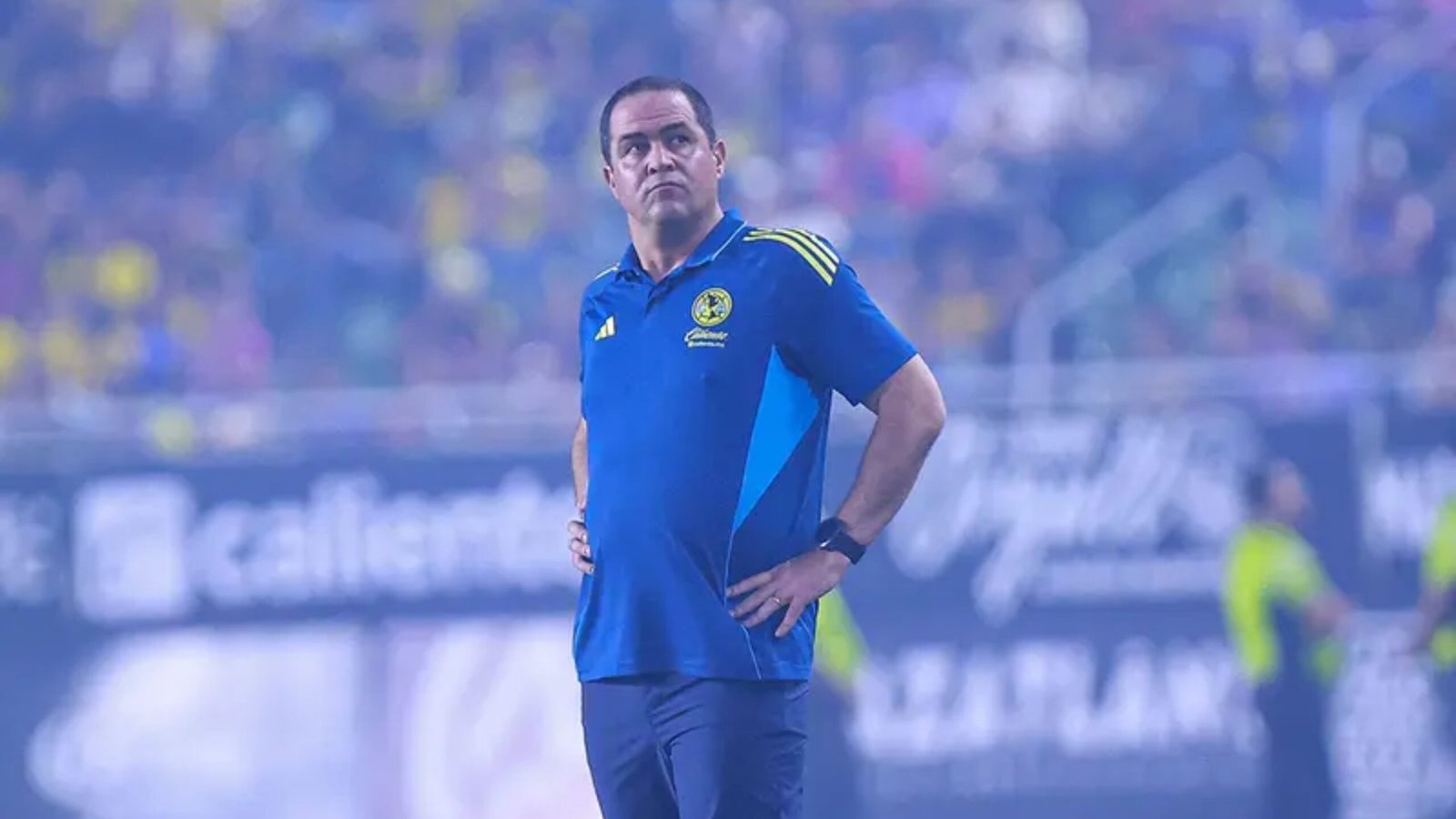 Plecas e informacion (12)