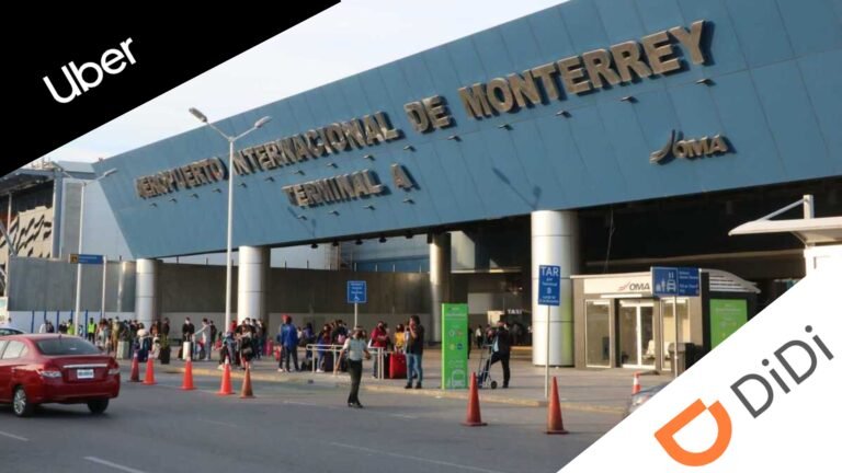 Plecas e informacion (17)