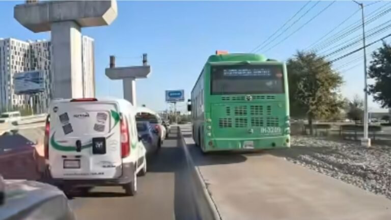 Plecas e informacion (18)