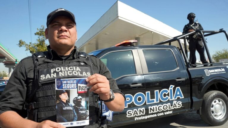 Plecas e informacion (19)