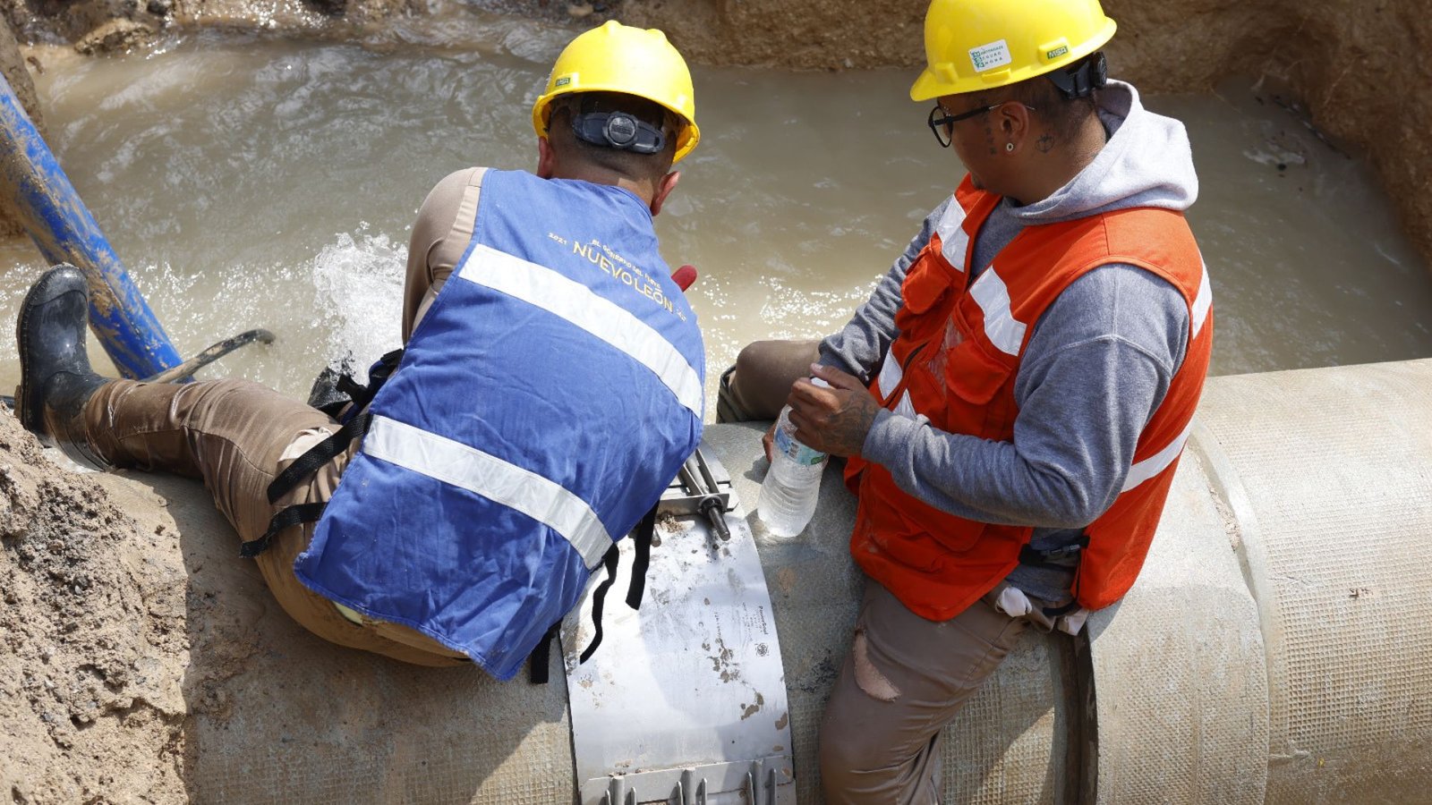 Plecas e informacion - 2025-11-04T150313.333