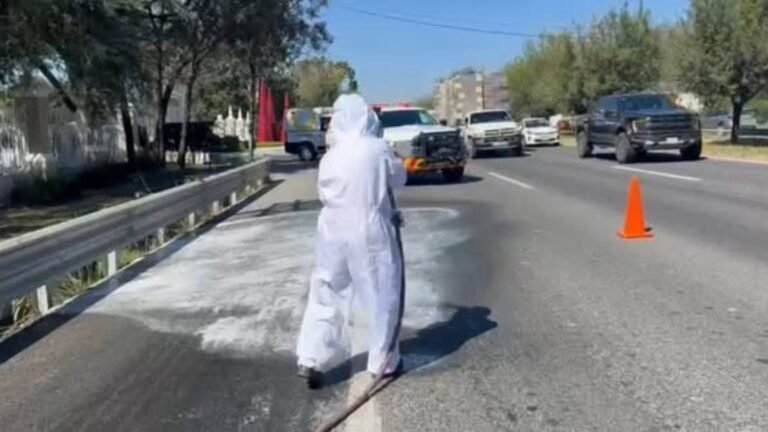 Plecas e informacion - 2025-11-07T153212.053