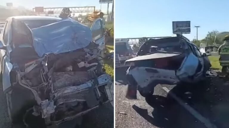 Plecas e informacion - 2025-11-07T155744.073