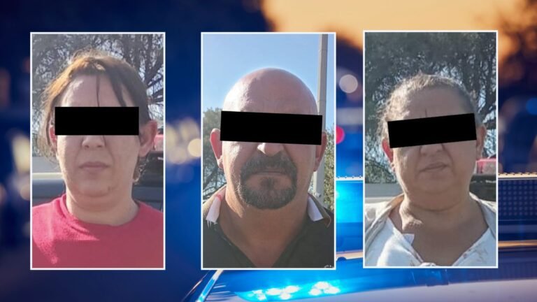 Plecas e informacion - 2025-11-07T160520.993