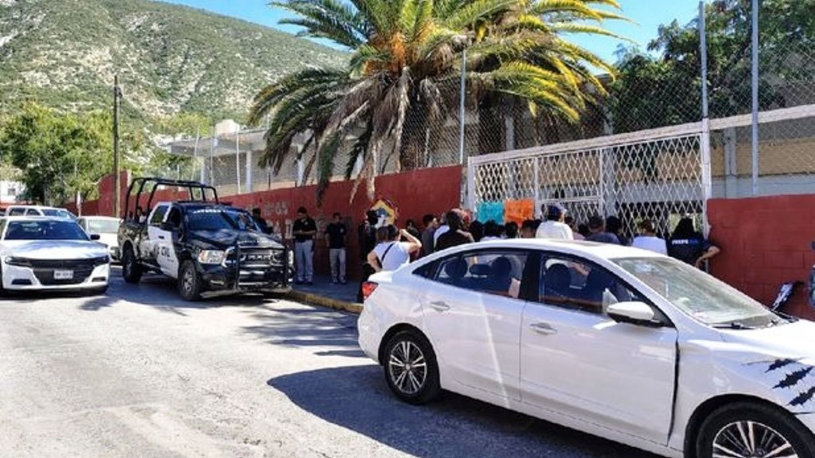 Plecas e informacion - 2025-11-07T161018.019