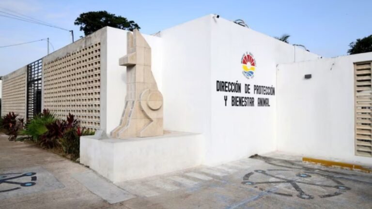 Plecas e informacion - 2025-11-08T153729.686