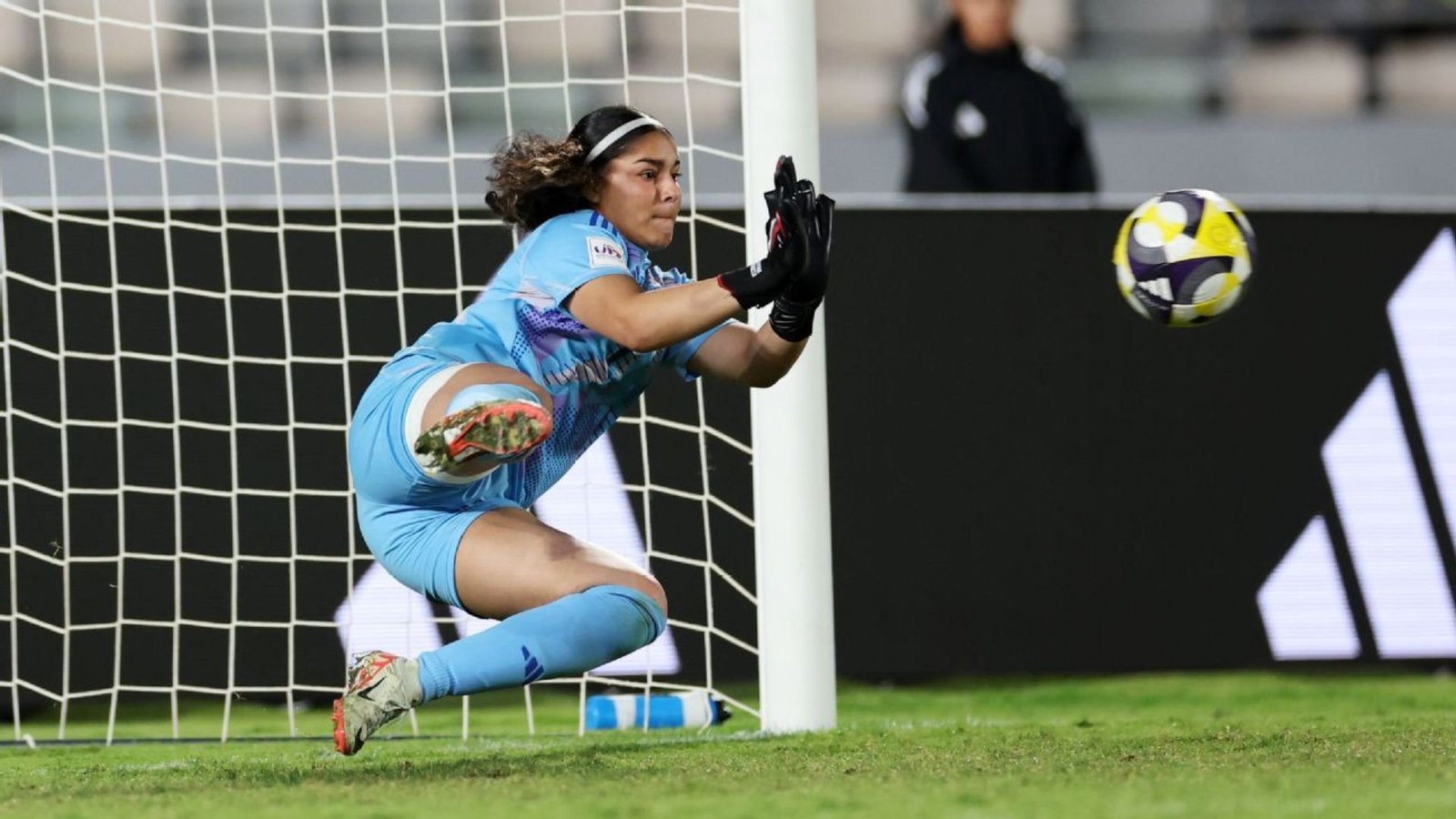 Plecas e informacion - 2025-11-08T155958.688