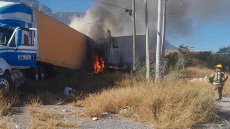 Plecas e informacion - 2025-11-09T094121.572