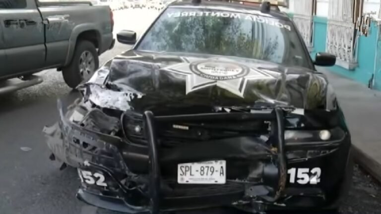 Plecas e informacion - 2025-11-09T094249.553