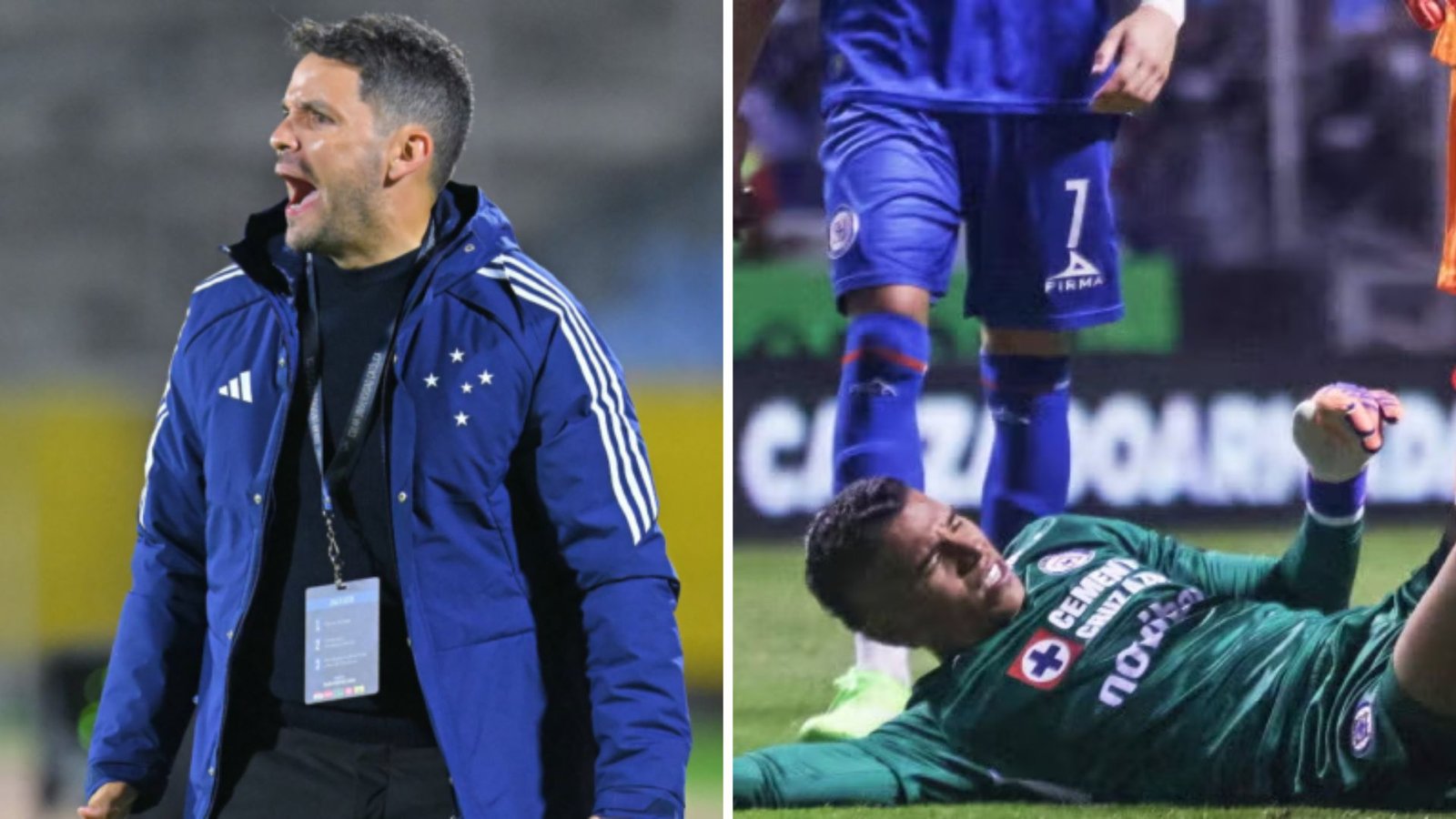 Plecas e informacion - 2025-11-09T101217.639