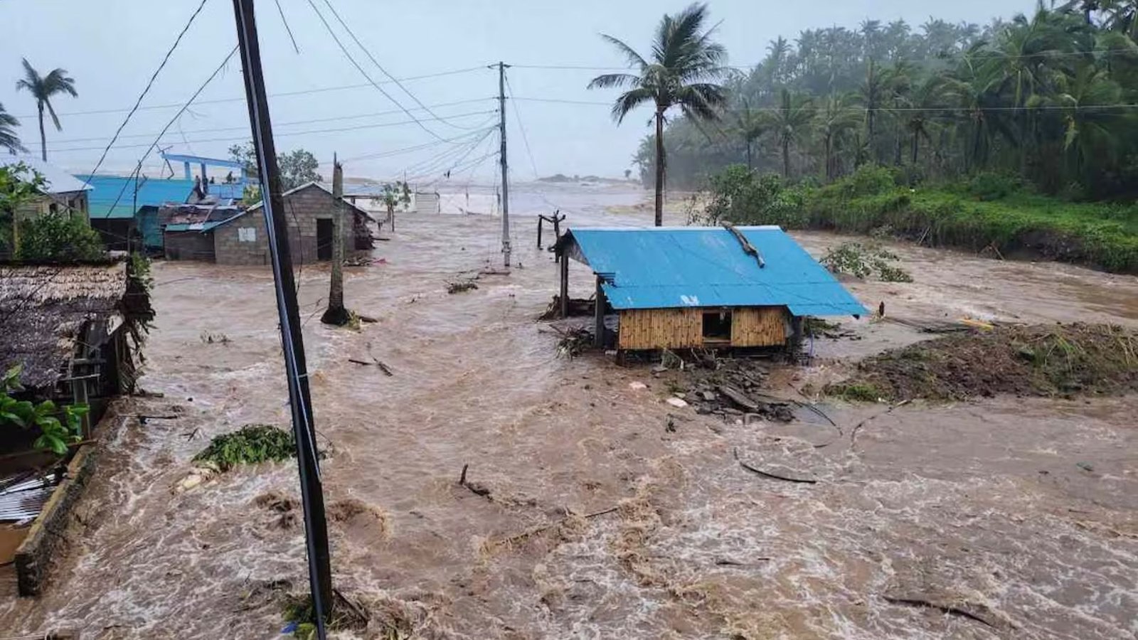 Plecas e informacion - 2025-11-09T105416.652