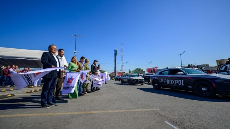 Plecas e informacion - 2025-11-10T165703.549