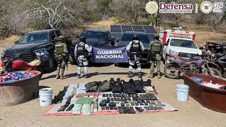 Plecas e informacion - 2025-11-10T173714.640