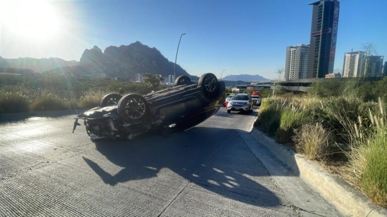 Plecas e informacion - 2025-11-10T175448.561