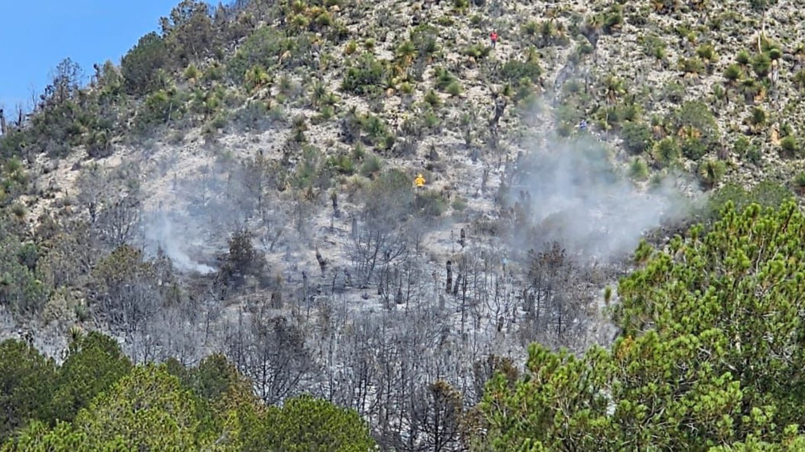 Plecas e informacion - 2025-11-10T195645.092