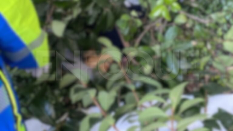 Paramédicos atienden reporte en Torre Alpino, San Pedro Garza García