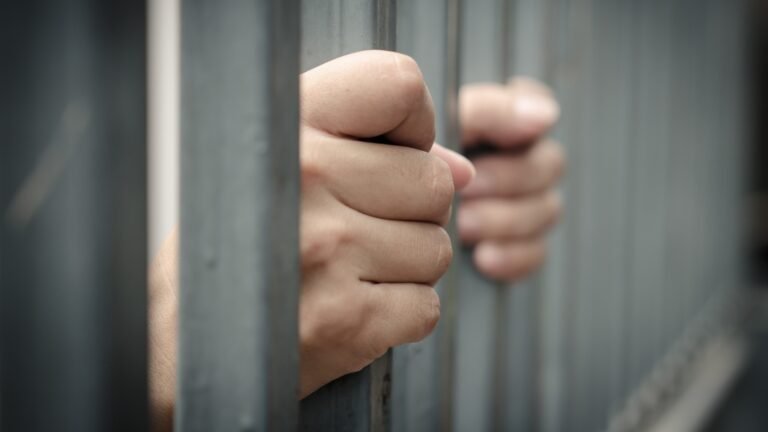 Congreso de Nuevo León aprueba reformas para endurecer penas por maltrato animal